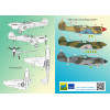 [FCM] Decalque 032-37 Curtiss P-40 "Big Mouths" Escala 1/32