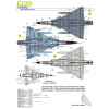 [FCM] Decalque 048-30 Mirage III V 50 Escala 1/48
