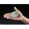 [BANDAI] Star Wars Vehicle Model 006 - Millennium Falcon
